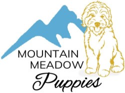 MMP-Logo