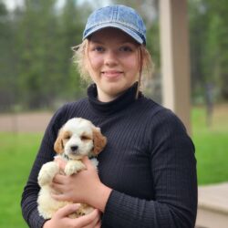 F1b mini Goldendoodle